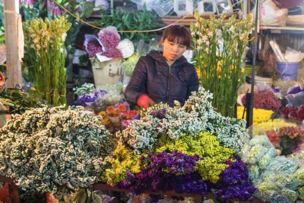 Unveiling Hanoi Flower Market: A Deep Dive into Quang Ba and Hang Luoc