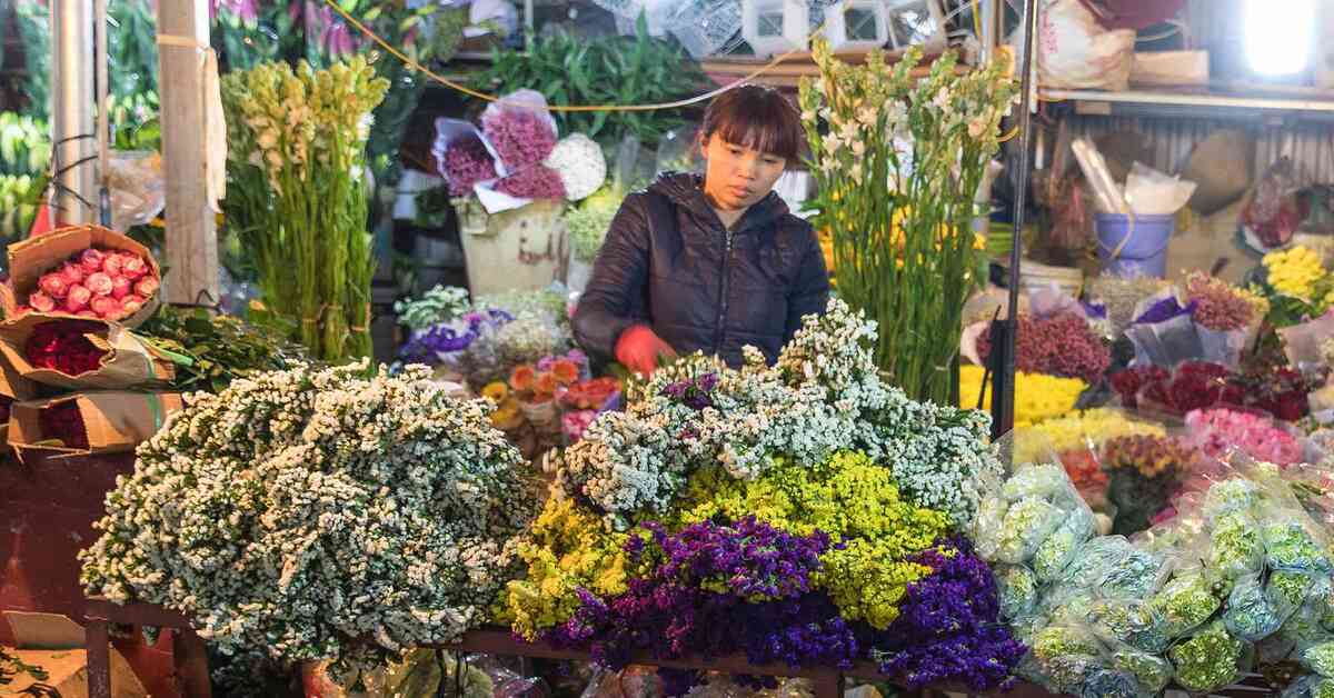 Unveiling Hanoi Flower Market: A Deep Dive into Quang Ba and Hang Luoc