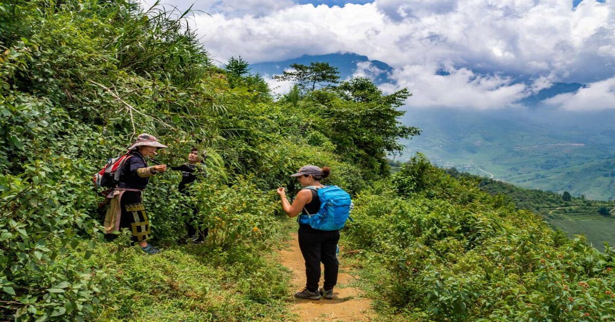 Top 10 Must-Try Vietrekking Locations in Vietnam