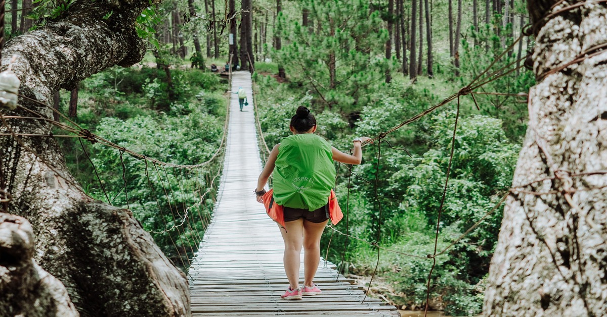 Hiking in Vietnam, where to go?