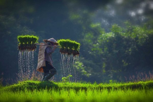 Vietnamese countryside: Tips for travelling and living