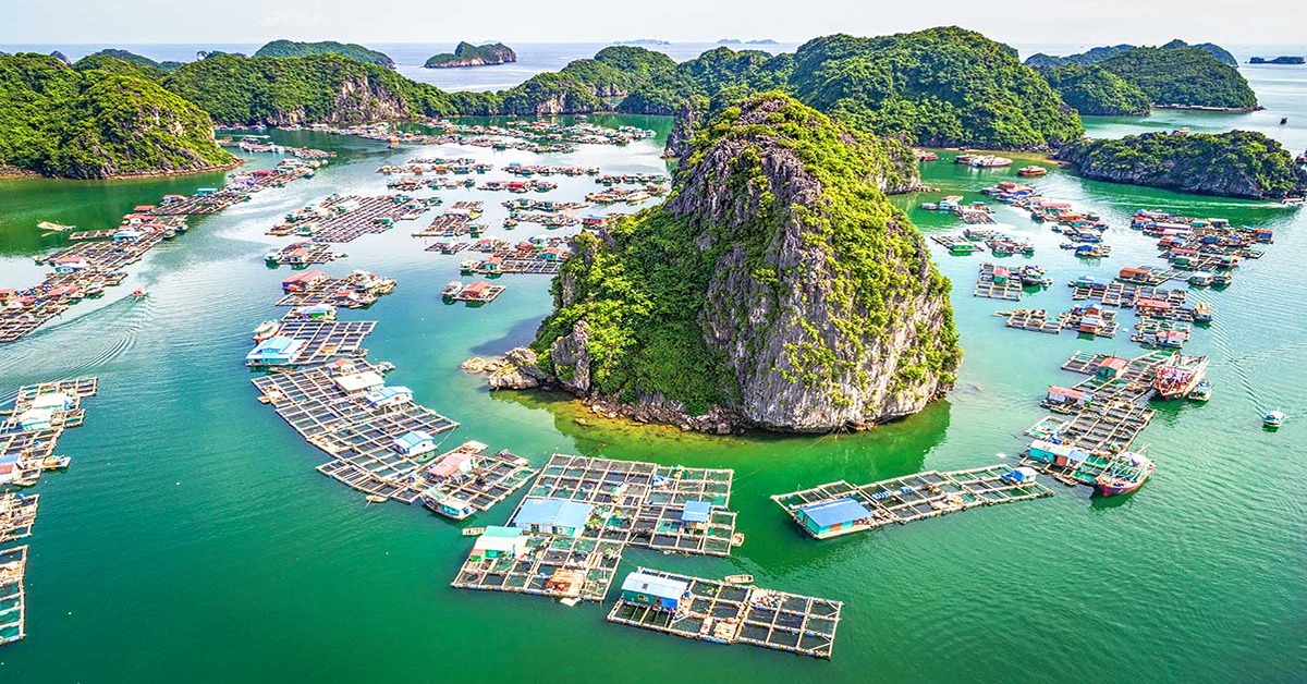 Lan Ha bay - cannot miss when visiting Halong bay
